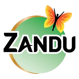 Zandu icon